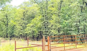 Tbd Dude Lane, Millsap, TX 76066