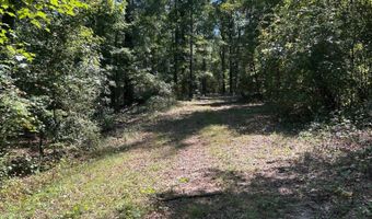 4496 State Hwy 130, Banks, AL 36005