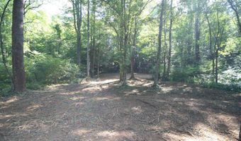 TBA BETTYS BRANCH RD X, Arvonia, VA 23004