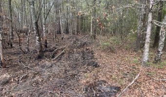 Tract 5 Smith Lane, Bowman, SC 29018