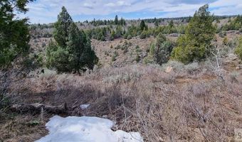1703 Mountain Laurel Dr, Ashton, ID 83420