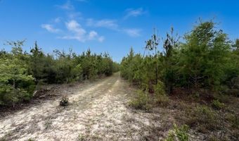 Broadview Avenue, Alford, FL 32420