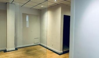 225 N Mill Unit 111/114 111/114, Aspen, CO 81611