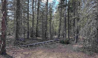 Lot 74 Happy Way, Angel Fire, NM 87710
