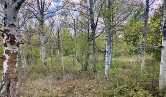 Tbd Aspen Heights Drive, Ashton, ID 83420