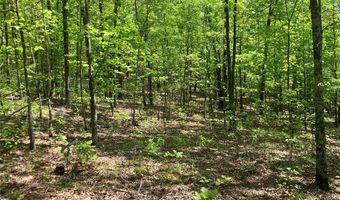 0 County Road 224, Alton, MO 65606