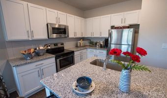 805 Zelkova Rdg Raleigh, Athens, GA 30606