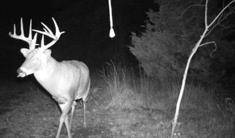 189 Th St, Albia, IA 52531