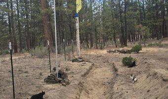 Smith Drive lot 5, Beatty, OR 97621