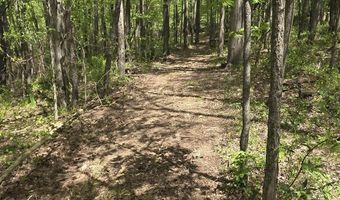 15252 27 Mile Rd, Albion, MI 49224