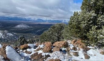 Tbd Pine nut Mountains, Minden, NV 89423