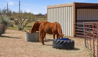 3023 W Clark Rd, Benson, AZ 85602