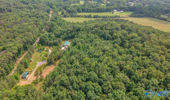 1228 Matt Morrow Rd, Arab, AL 35016