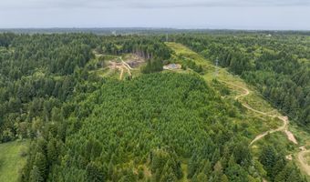 54431 Morrison Rd, Bandon, OR 97411