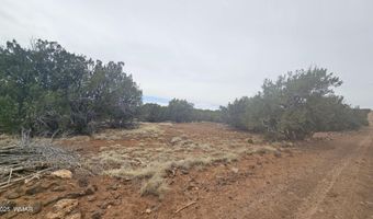 Tbd CR 8065, Concho, AZ 85924