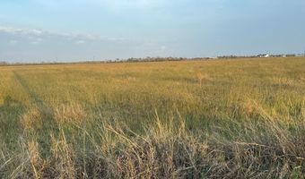 25 Acres County Road 45, Angleton, TX 77515