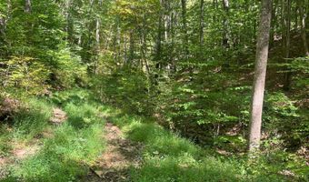 Hamilton Ridge Road, Alderson, WV 24910