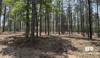 Ronald Sanks Road, Bay Minette, AL 36507