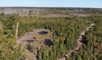 Broxton Bridge Road, Bamberg, SC 29003