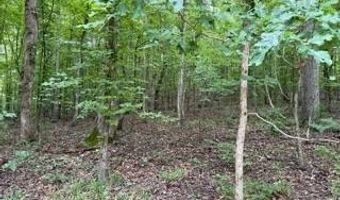 954 Stokes Ln, Bath Springs, TN 38311