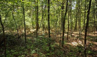 19 Th Pass Lot 132, Arkdale, WI 54613