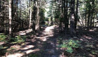 Banwell Road, Alanson, MI 49706