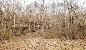 County Road 19-A, Alton, MO 65606