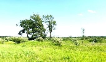 Sunset Boulevard 52, Alanson, MI 49706