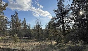 Canvasback, Bonanza, OR 97623