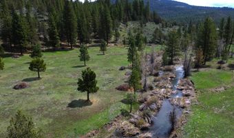 Roney Flat Road, Adin, CA 96006
