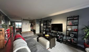 203 YOAKUM Pkwy 1707, Alexandria, VA 22304