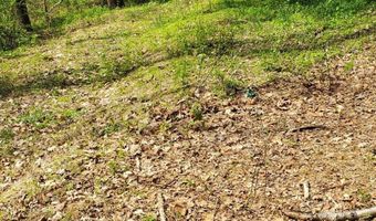 333 Whitfield Rd, Accord, NY 12404