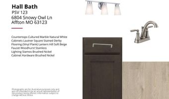 6804 Snowy Owl Ln, Affton, MO 63123