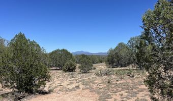 202 Cooks Trl, Ash Fork, AZ 86320