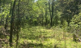 Wolf Hill Rd, Bethpage, TN 37022