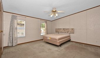 1007 COUNTY ROAD 4005, Arley, AL 35541