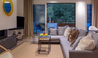 100 E Cooper Ave 11, Aspen, CO 81611