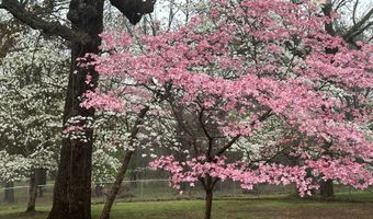 33239 Thompson Rd, Afton, OK 74331