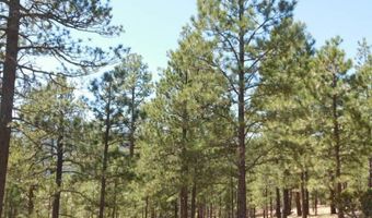 Lot 12 Sawmill Way Loggers Ridge, Angel Fire, NM 87710