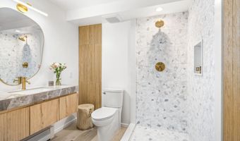 901 E Hyman Ave 14, Aspen, CO 81611