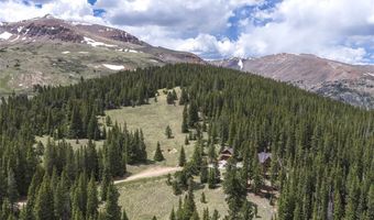62 Lazy Rex Rd, Alma, CO 80440