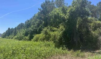 HIGHWAY 431 lot 0, Alexandria, AL 36250