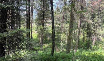 Tbd Hilltop Road 43 & 44, Cascade, ID 83611