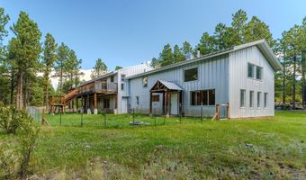 41 Susan Ln, Angel Fire, NM 87710