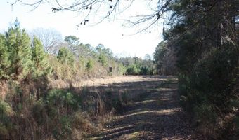 2650 Joe Miley Rd, Brunson, SC 29911