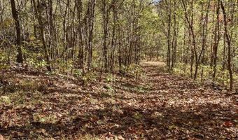 N Fork River Road, Abingdon, VA 24210