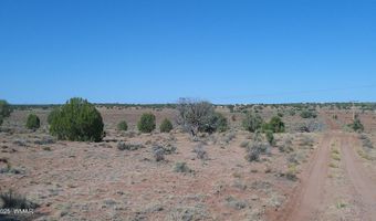 Tbd Wicked Sisters Way 38ac, Concho, AZ 85924