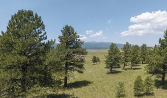 9 Buckskin Rd, Angel Fire, NM 87710