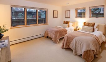 333 W Hopkins Ave, Aspen, CO 81611