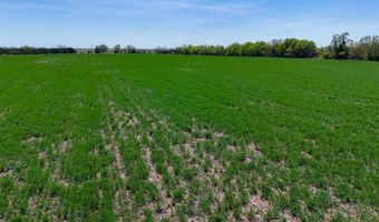 0000 SW Tawakoni Rd, Andover, KS 67002